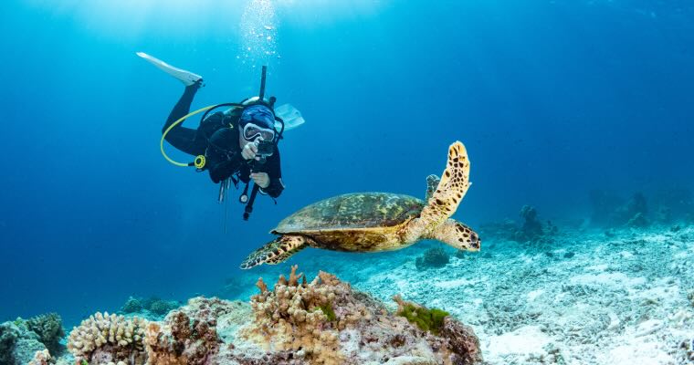 A person scuba diving with a turtle